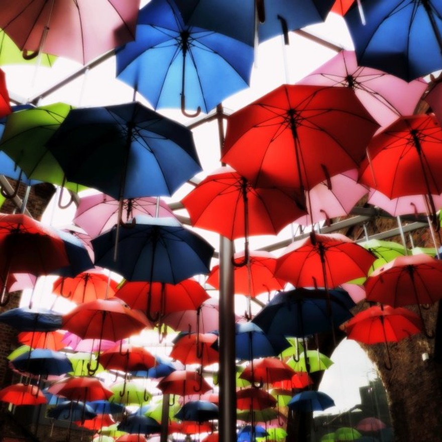 Untitled image