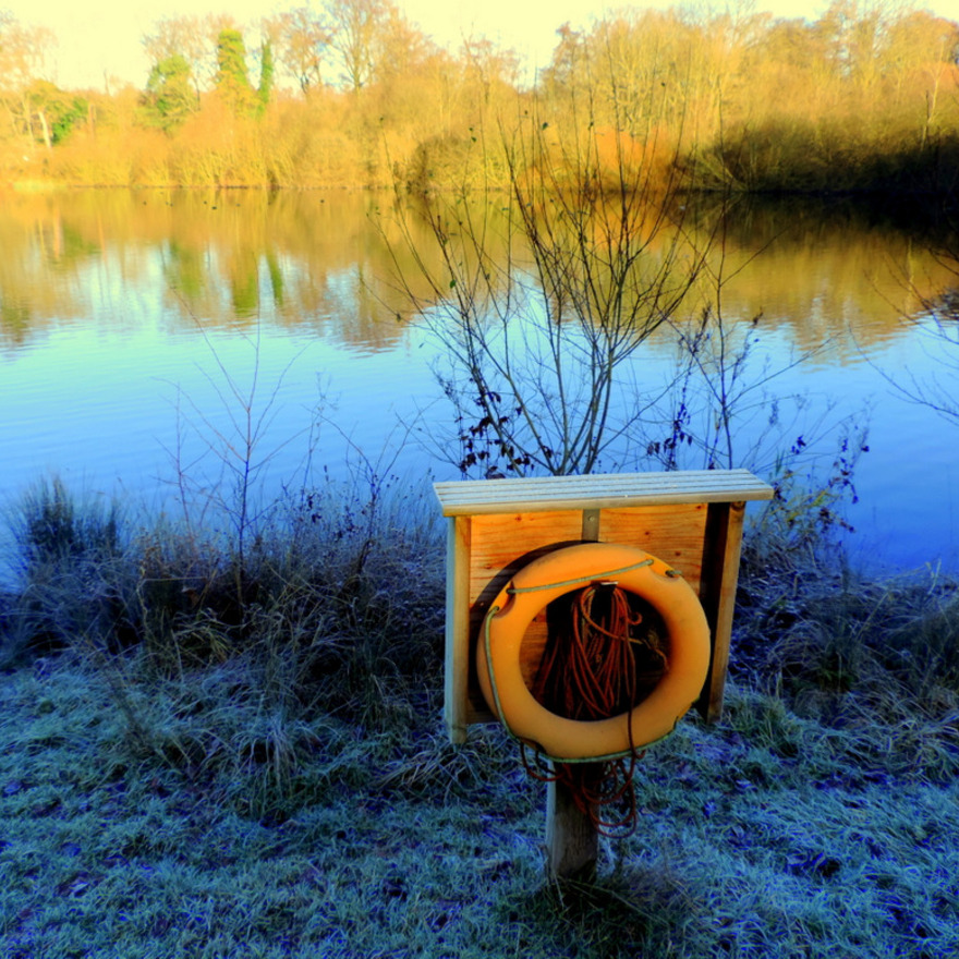 Untitled image