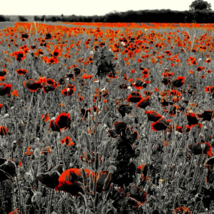Untitled image