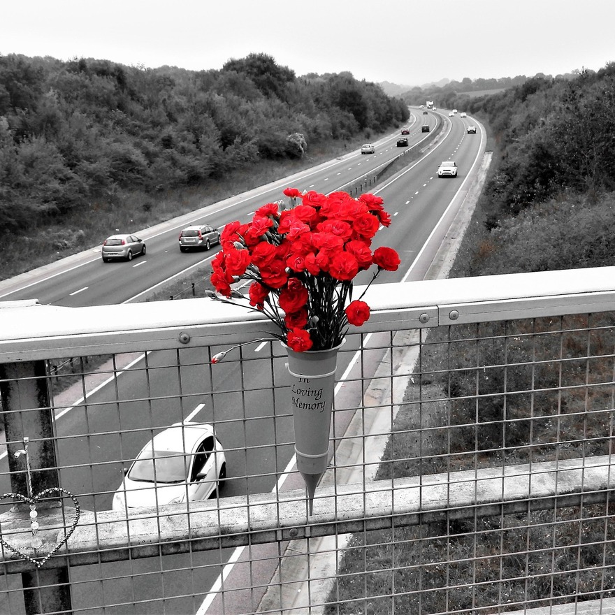 Untitled image