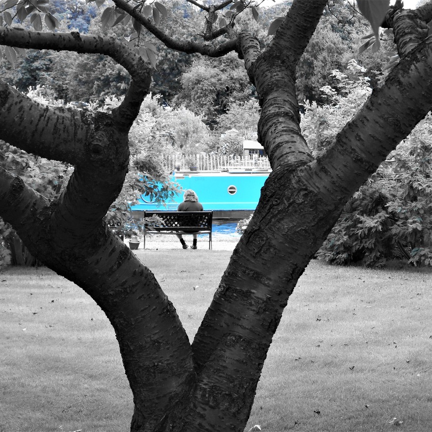 Untitled image